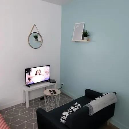 Le Nakai , Petit Studio Sympa, Plein Centre-Ville Monistrol-sur-Loire Extérieur photo
