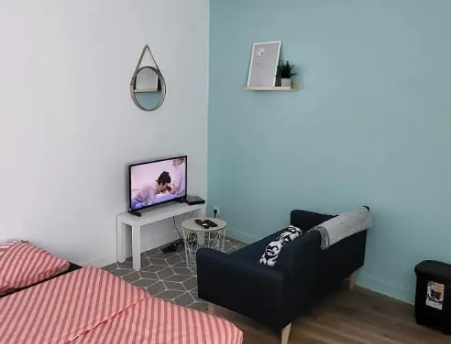 Le Nakai , Petit Studio Sympa, Plein Centre-Ville
